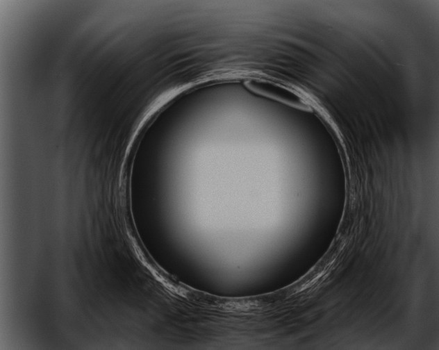 X0000052651053200507160218