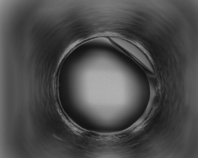 X0000052651054200507160218