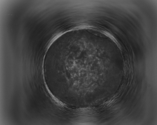 X0000052651055200507160218