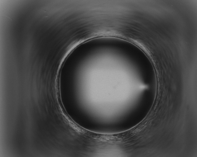 X0000052651056200507160218