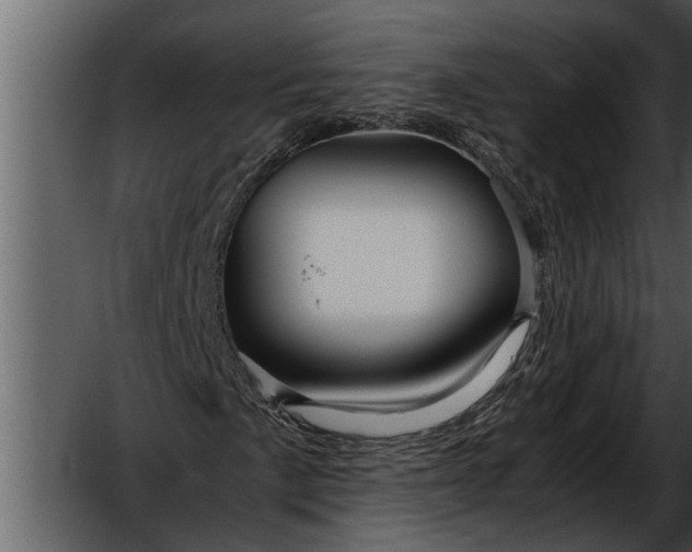 X0000052651057200507160217