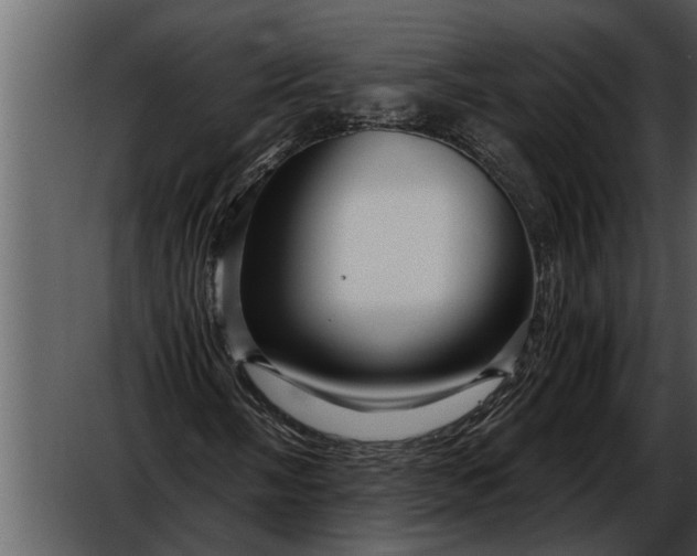 X0000052651058200507160217