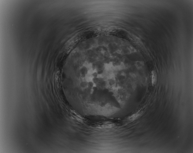 X0000052651059200507160217