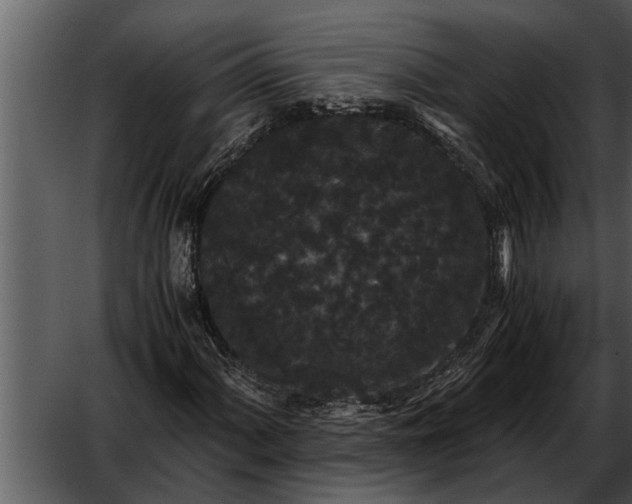 X0000052651060200507160217