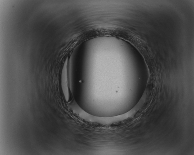 X0000052651061200507160217