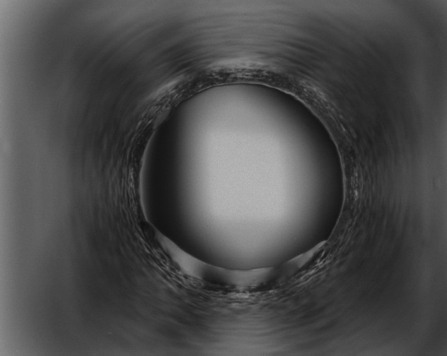 X0000052651062200507160217