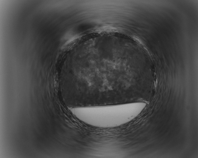 X0000052651063200507160217