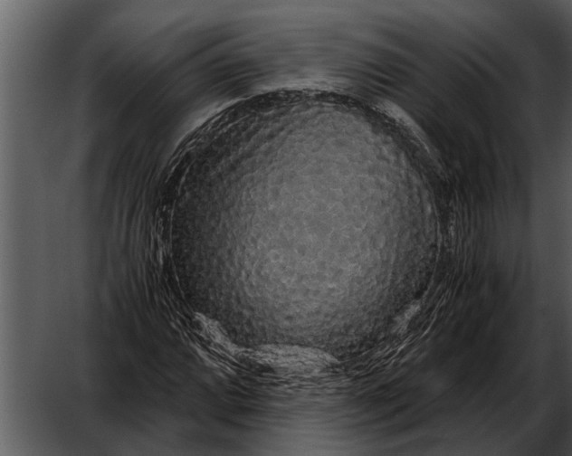 X0000052651064200507160217