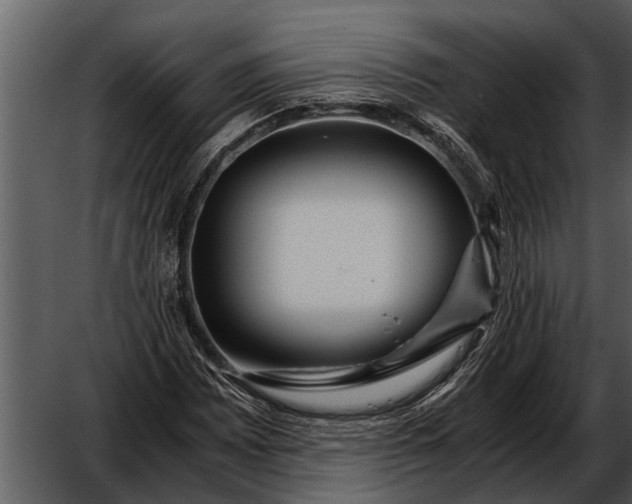 X0000052651065200507160217