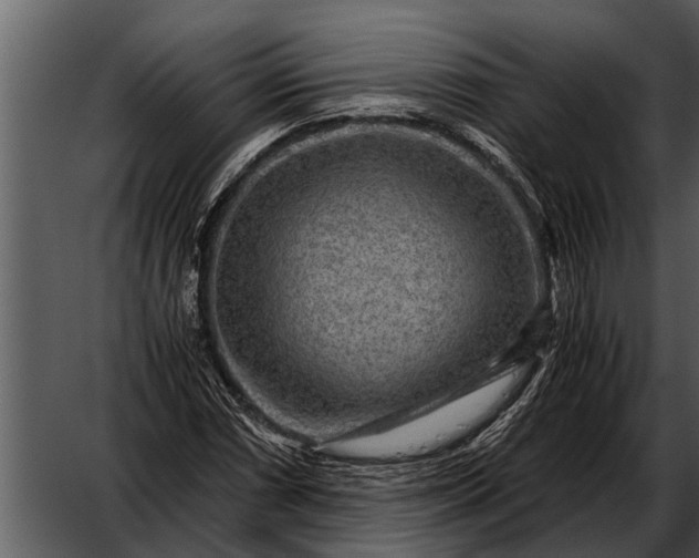 X0000052651066200507160217