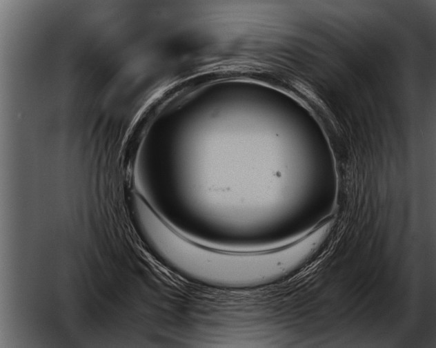 X0000052651067200507160217