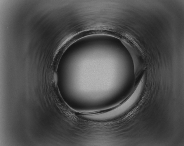 X0000052651069200507160217