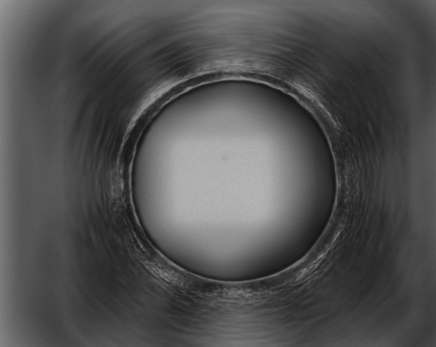 X0000052651070200507160217