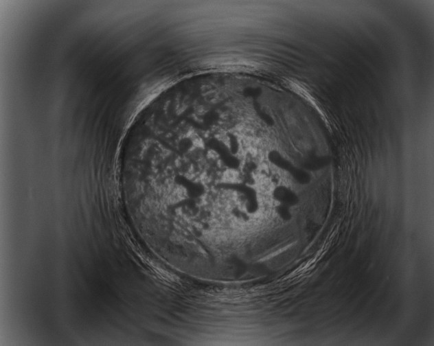 X0000052651071200507160217