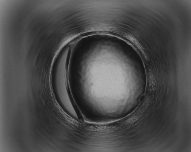 X0000052651072200507160217