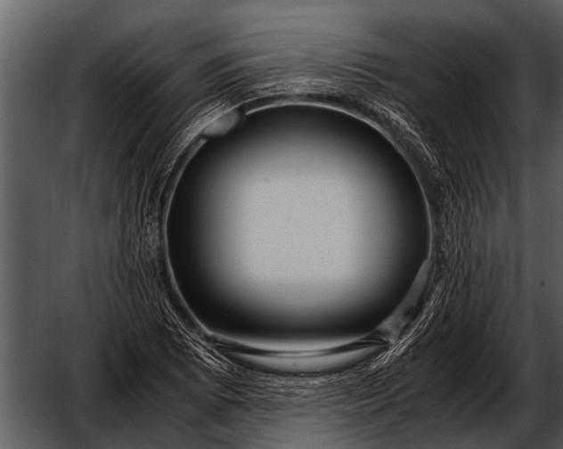 X0000052651073200507160217