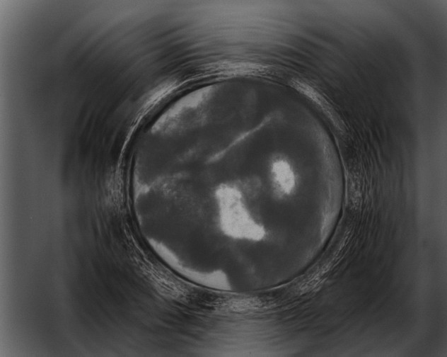 X0000052651074200507160217