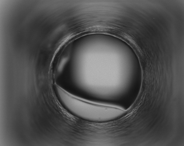 X0000052651075200507160217