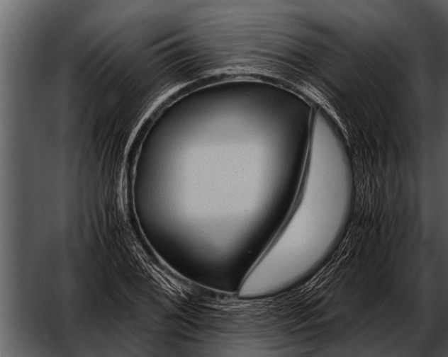 X0000052651076200507160217