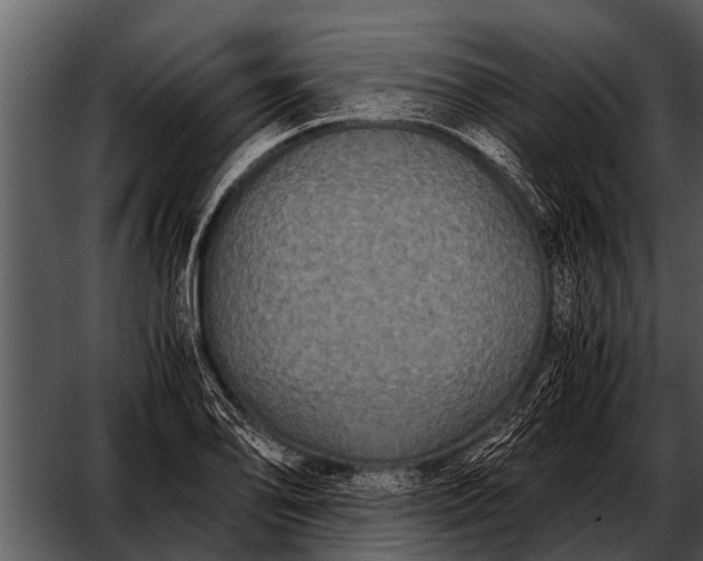 X0000052651078200507160217