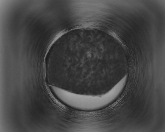 X0000052651079200507160217