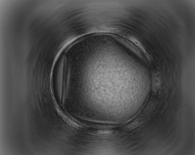 X0000052651080200507160217