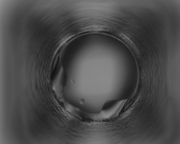 X0000052651081200507160217