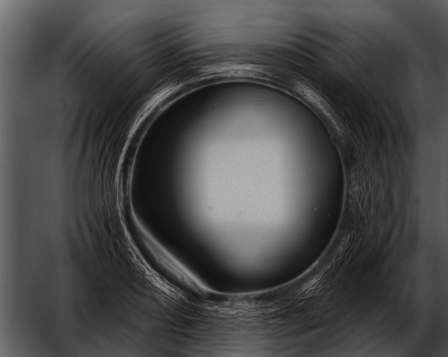 X0000052651082200507160217