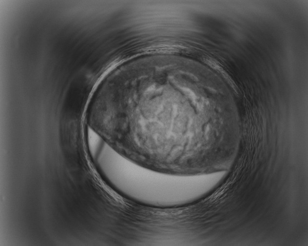 X0000052651083200507160217