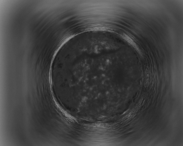 X0000052651084200507160217