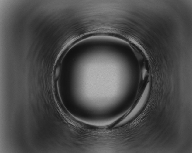 X0000052651085200507160217