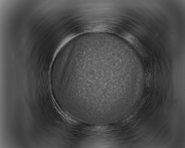 X0000052651086200507160217