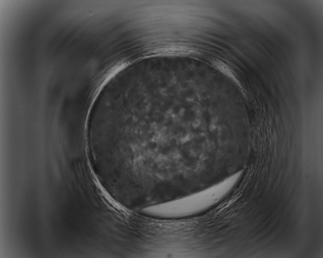 X0000052651087200507160217