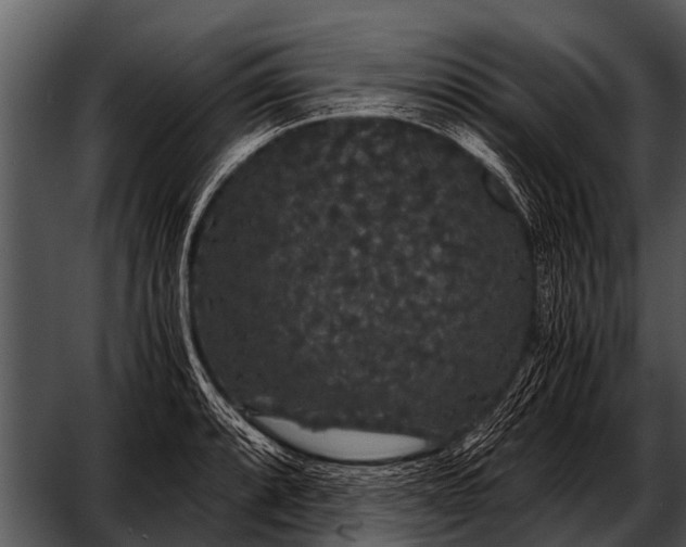 X0000052651088200507160217