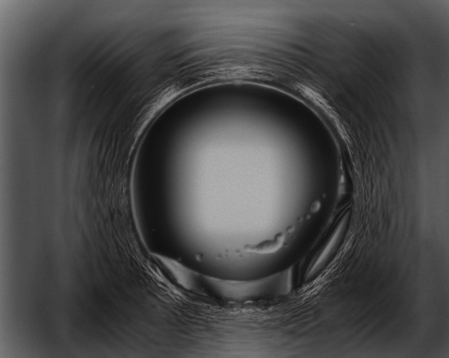 X0000052651089200507160217