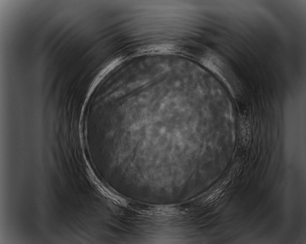 X0000052651090200507160217