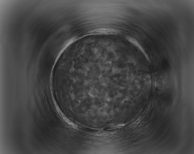 X0000052651091200507160217