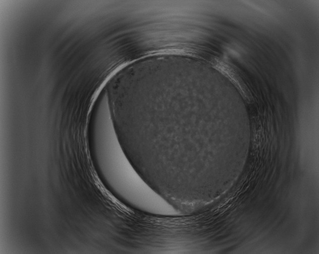 X0000052651092200507160217