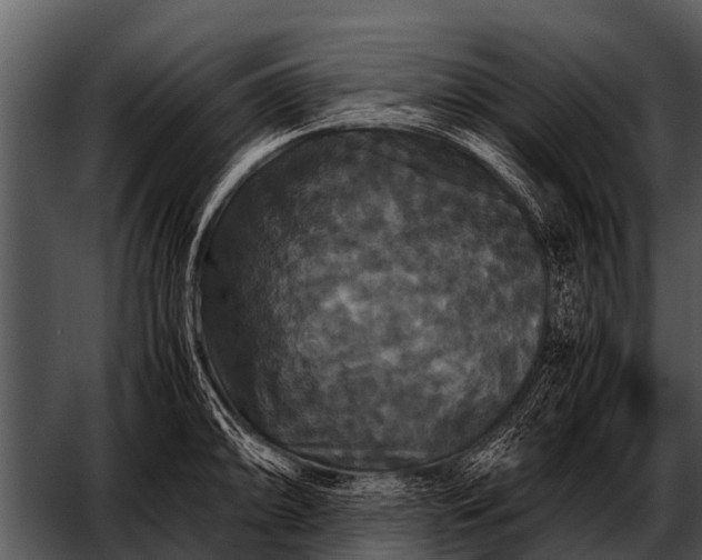 X0000052651094200507160217