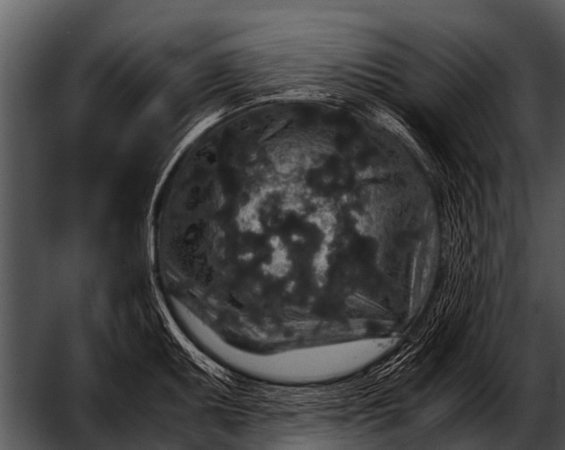 X0000052651095200507160216