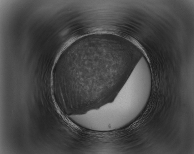 X0000052651096200507160216