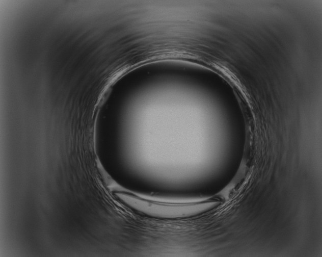 X0000052651097200507160216