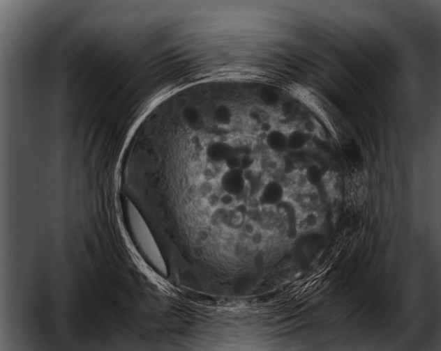 X0000052651099200507160216