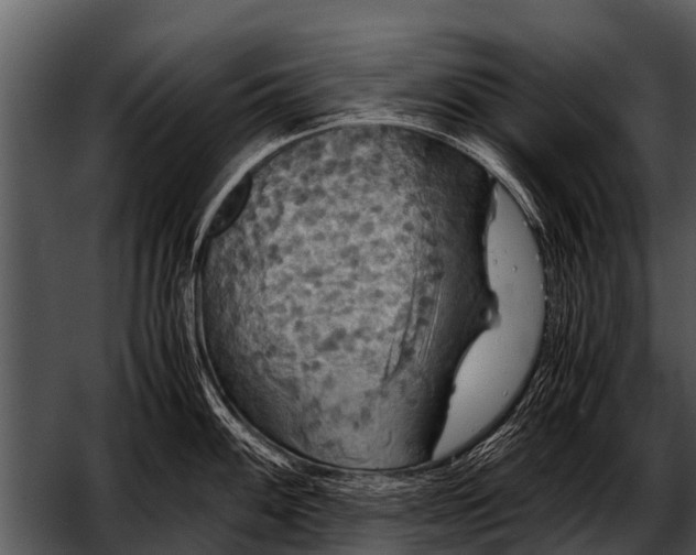 X0000052651100200507160216