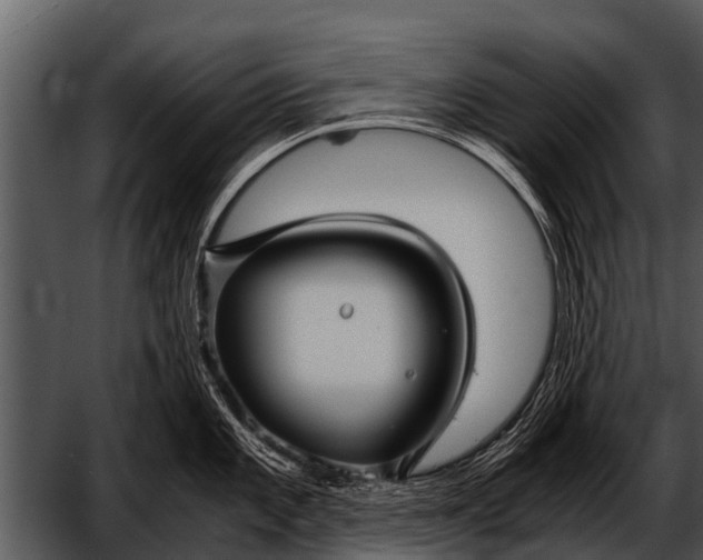 X0000052651101200507160216