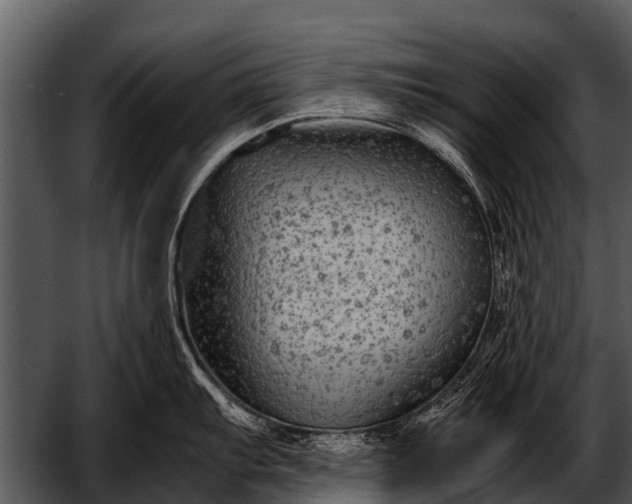 X0000052651103200507160216