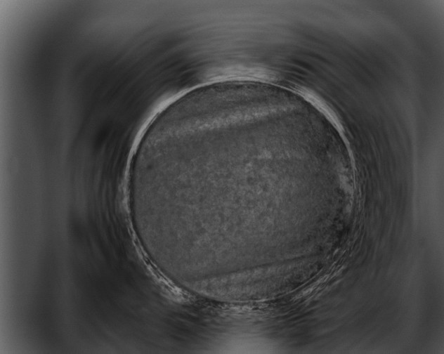 X0000052651104200507160216