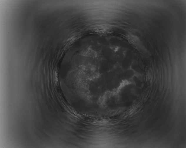 X0000052651106200507160216