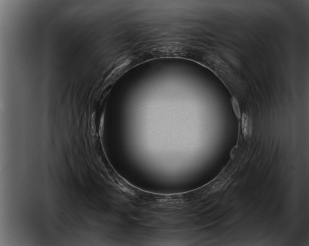 X0000052651107200507160216