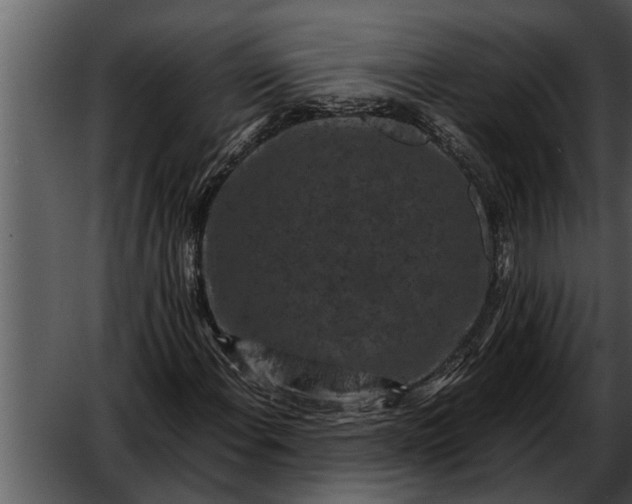 X0000052651108200507160216